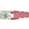 Cat6 Pink Patch Lead 0.5M-3999