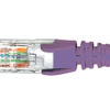 Cat6 Purple Patch Lead 0.5M-4007