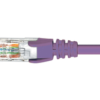 Patch Lead Cat6 Purple 0.5M-0