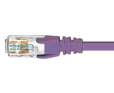 Patch Lead Cat6 Purple 5M-0