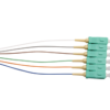 Sc Om3 M/Mode 900Um P/Tail - 2M C6Pk-4634