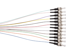 St Om1 M/Mode 900Um P/Tail - 2M C12Pk-4644