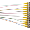 St Os1 S/Mode 900Um P/Tail - 2M C12Pk-4626