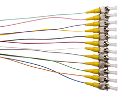 St Os1 S/Mode 900Um P/Tail - 2M C12Pk-4626