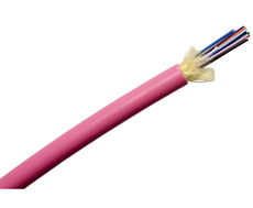 24F Indoor/Outdoor Riser Cable Om4 Ev