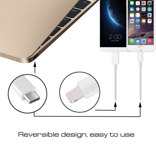 USB Type-C To Apple Lightning Cable