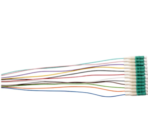 MSS Fibre OM3 50um 12-Fibre LC 900um Pigtails - 12 Pack-0