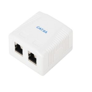 Surface Box CAT6A SFP 2Port