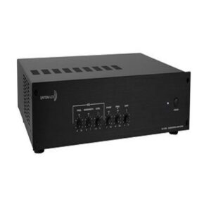 1000w Subwoofer Amplifier