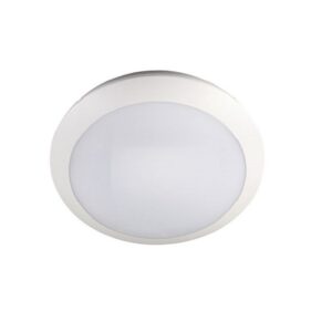 16W LED Intelligent Oyster Light Daylight White
